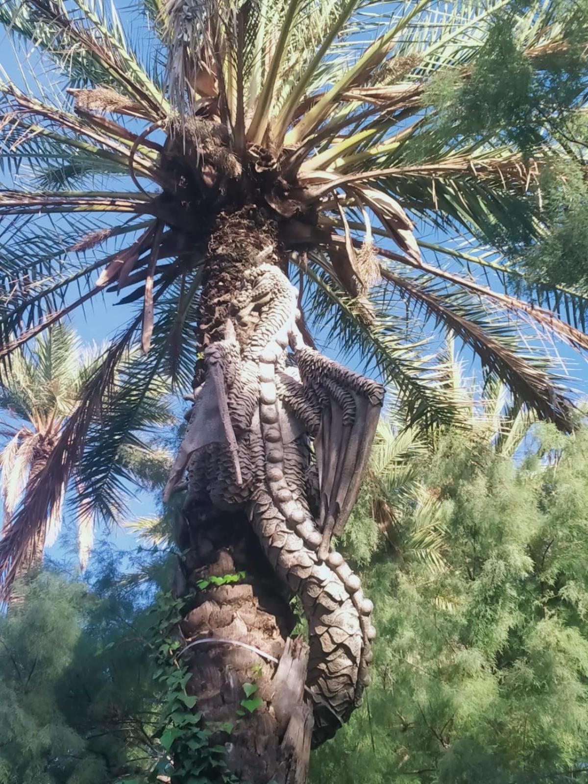 Апартаменти Sol De Mar, La Mata Ла-Мата Екстер'єр фото