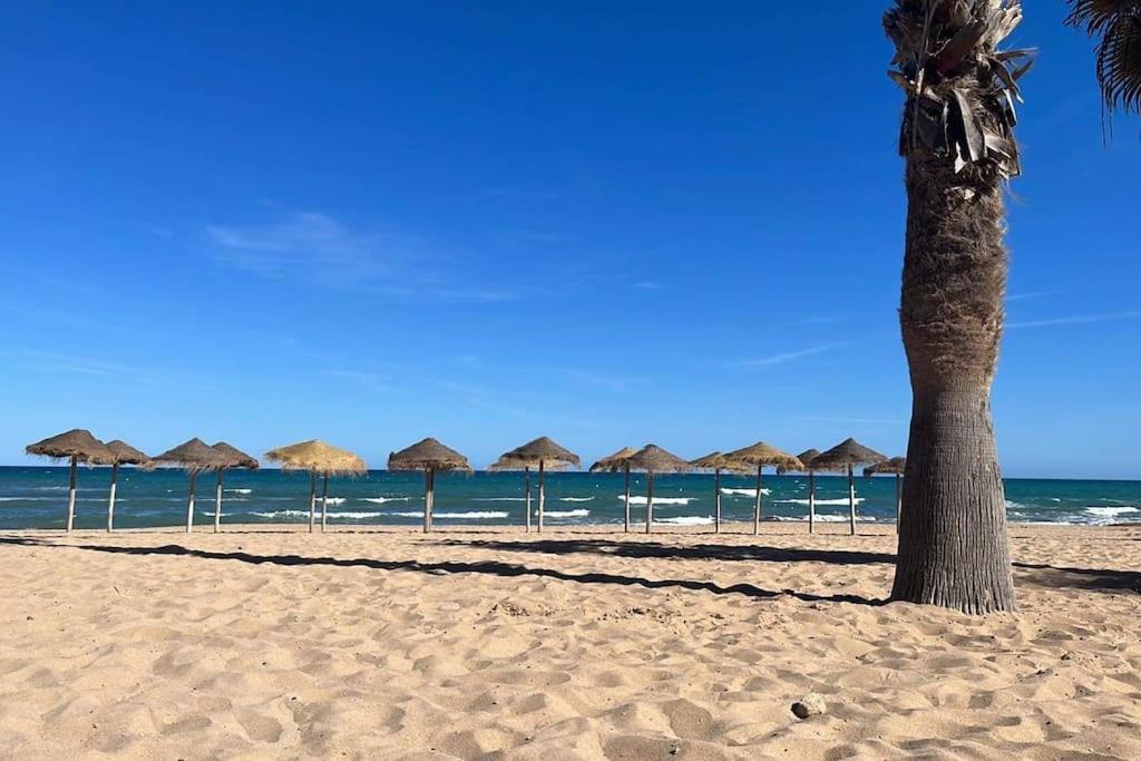 Апартаменти Sol De Mar, La Mata Ла-Мата Екстер'єр фото