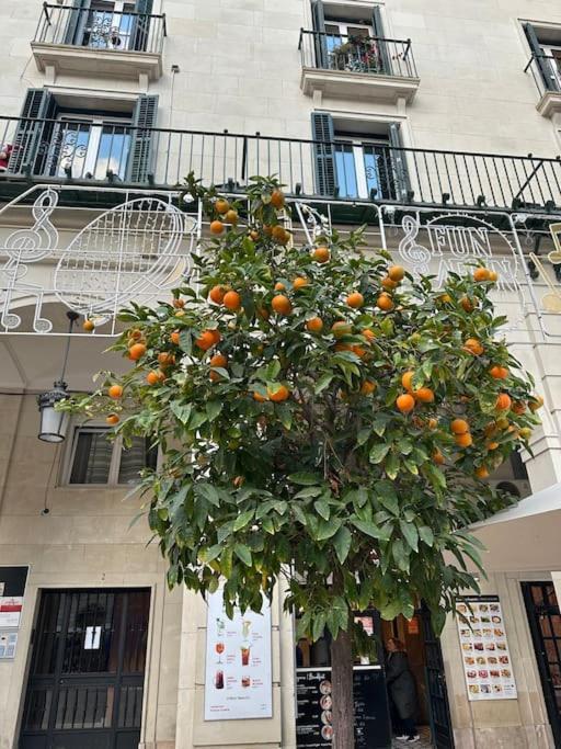 Апартаменти Sol De Mar, La Mata Ла-Мата Екстер'єр фото